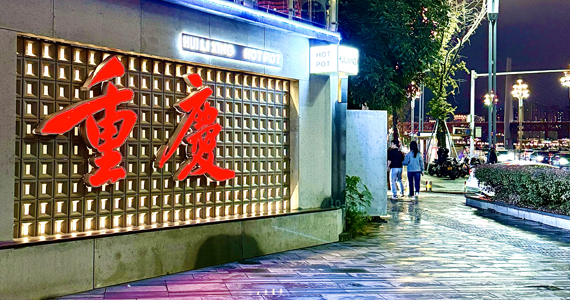 com动态ip域名查询是否备案