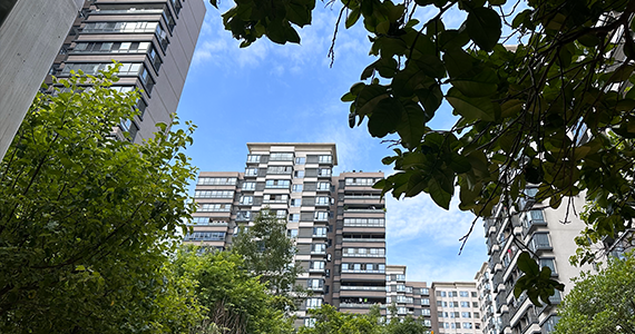 com中文域名查询